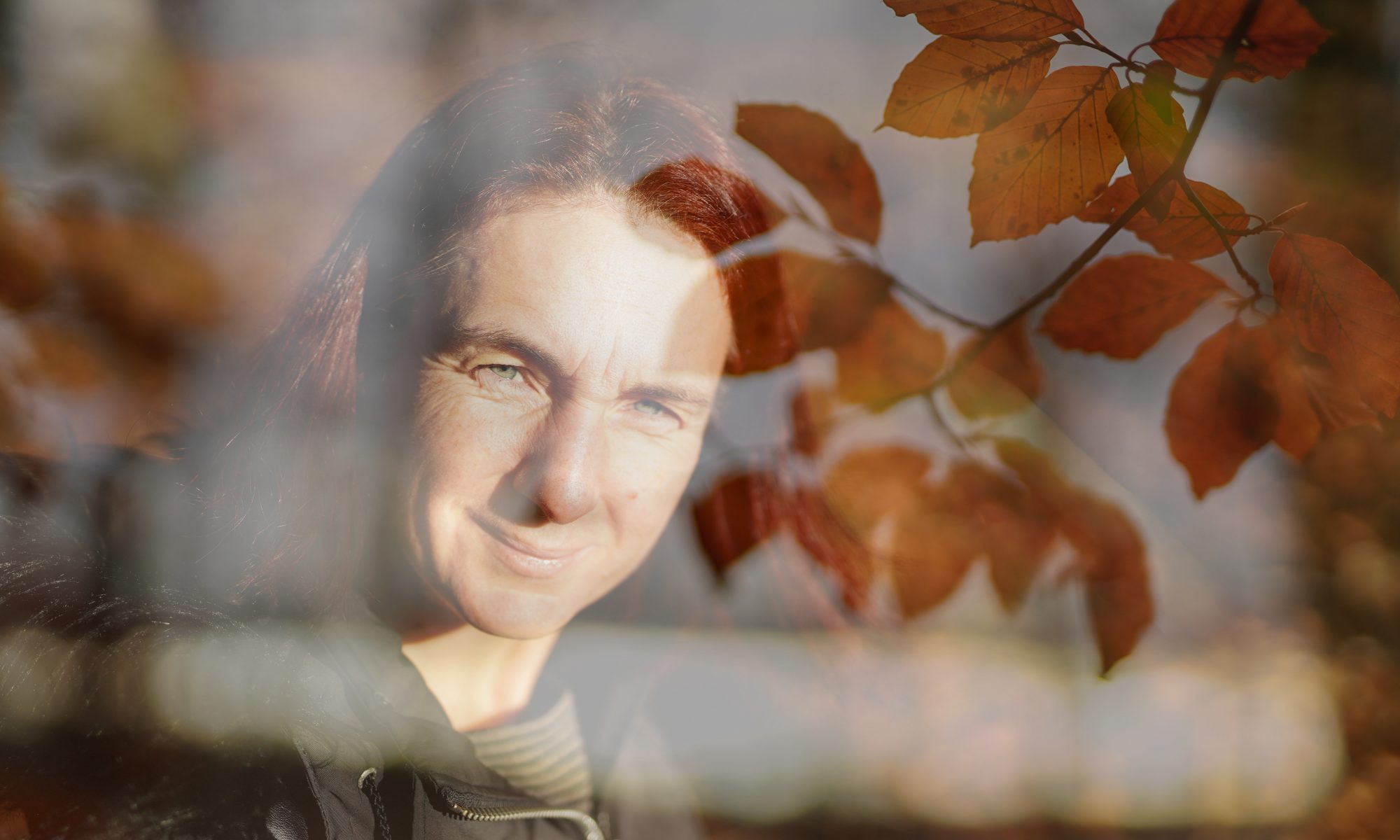 Buchenblätter an einem Zweig mit Frau im Hintergrund