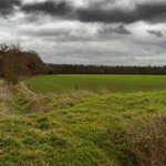Fotografie eines Ackers, vor dem Horizont sieht man den Wald