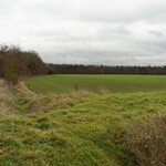 Fotografie eines Ackers, vor dem Horizont sieht man den Wald