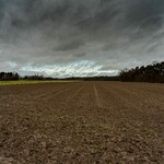 Ein Foto eines Ackers.