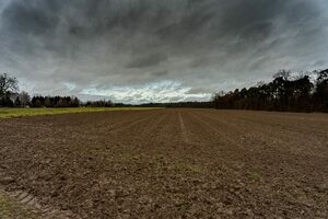 Ein Foto eines Ackers.