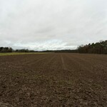 Ein Foto eines Ackers