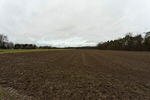 Ein Foto eines Ackers