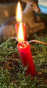 Zwei Kerzen eines Adventsgestecks auf Moos. Im Hintergrund ist eine Holzfigur zu sehen.
